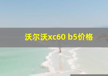 沃尔沃xc60 b5价格